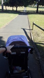 13187720_10154241016214319_503221409_n