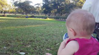 13224325_10154243752174319_349187918_o