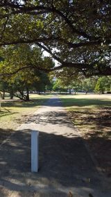 13231180_10154241016389319_1252415578_n