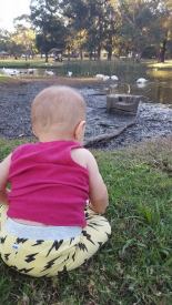 13250342_10154243752319319_1792703695_n