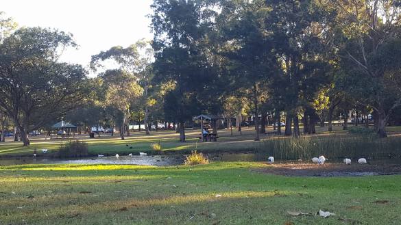 13262274_10154243752074319_550198884_o