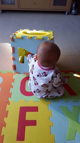 13479475_10154331294289319_660542695_n