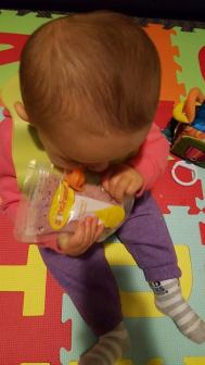 13595843_10154363344479319_191076285_n