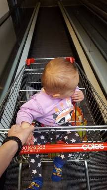 13936791_10154456290004319_672552137_n