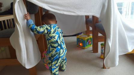 14123566_10154529495539319_1813029819_o